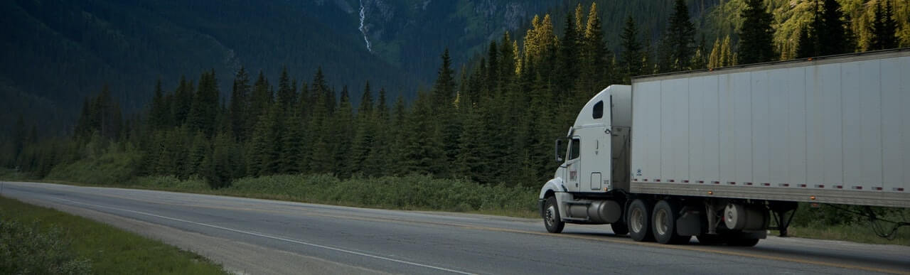 white semi truck in the highway surrounded by forest